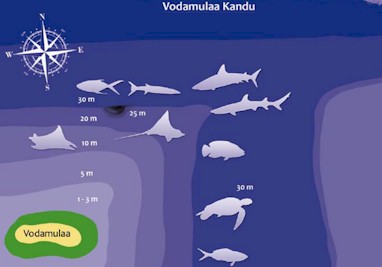 Vodamulaa Kandu